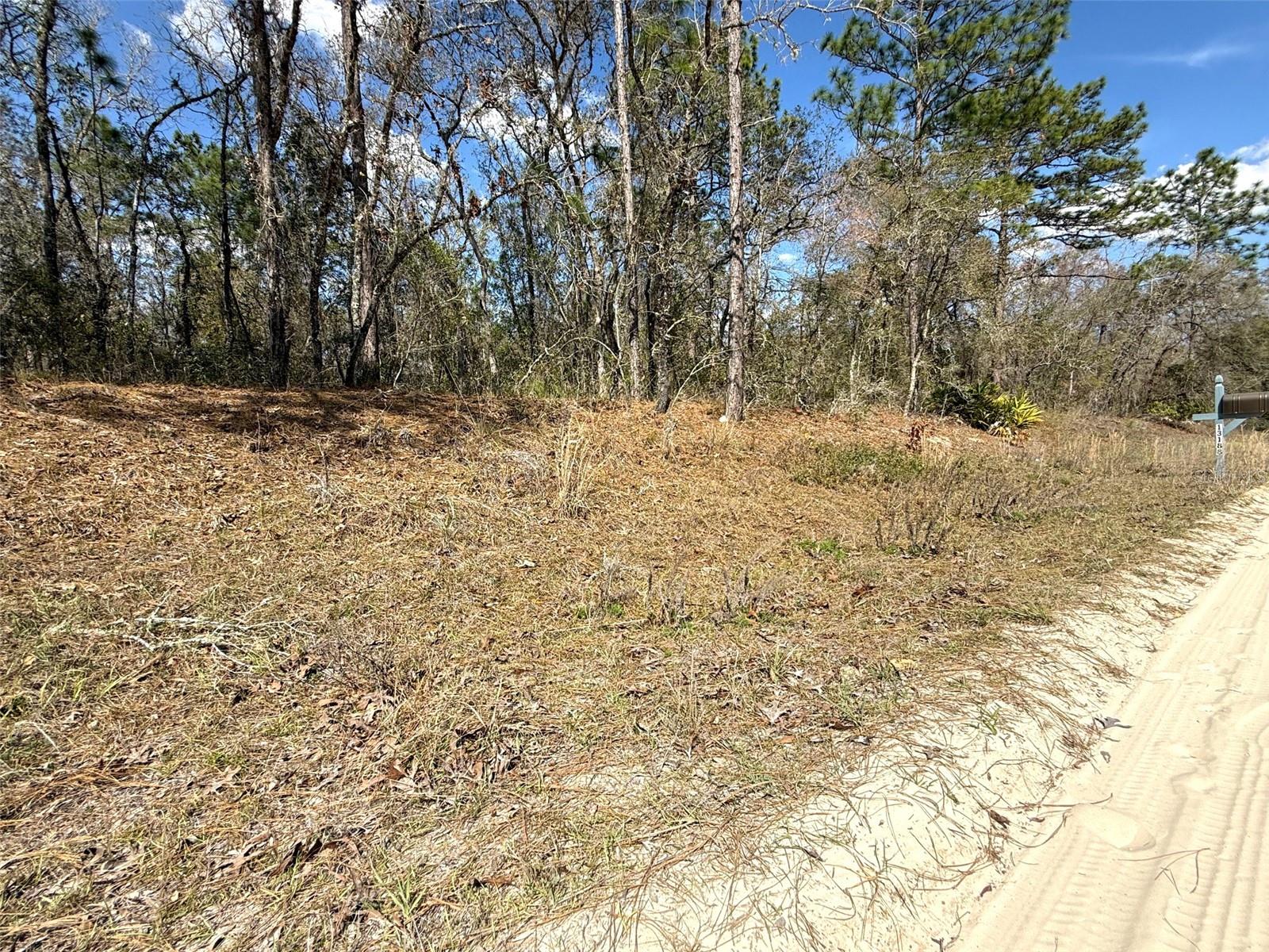 TBD SW 85TH PL, DUNNELLON, FL, 34432