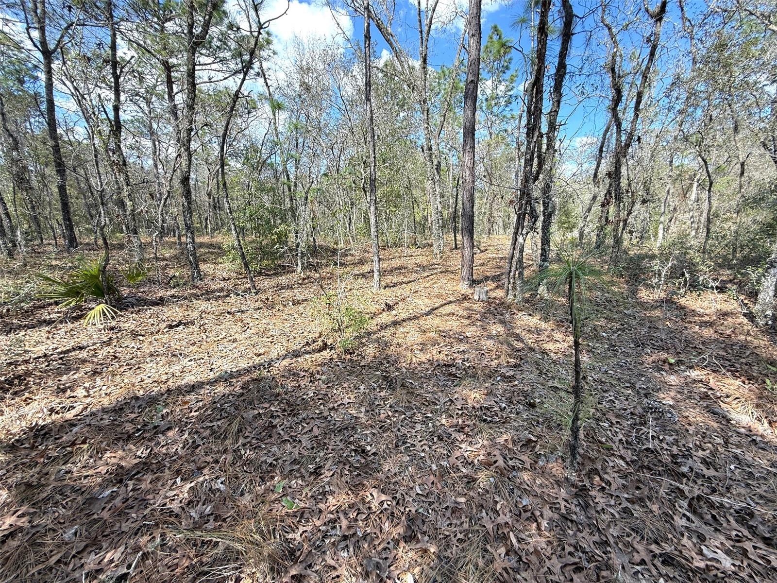 TBD SW 85TH PL, DUNNELLON, FL, 34432