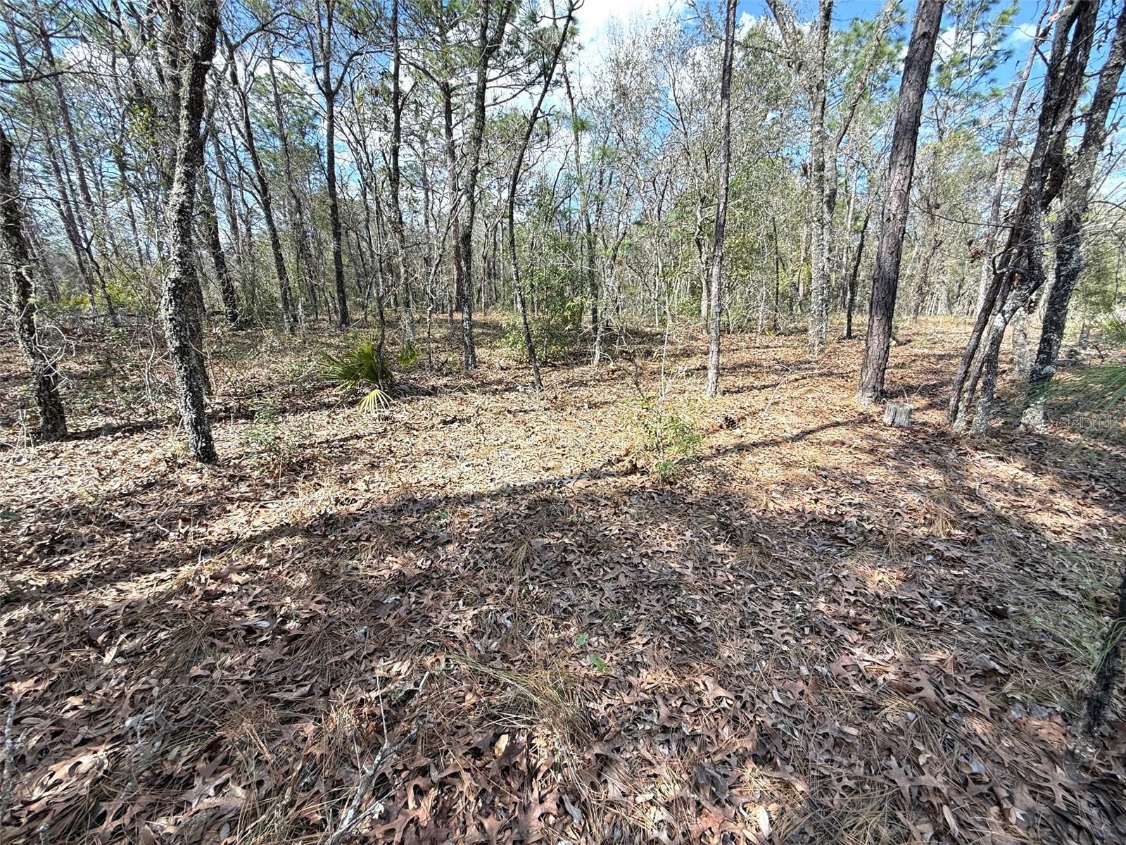 TBD SW 85TH PL, DUNNELLON, FL, 34432