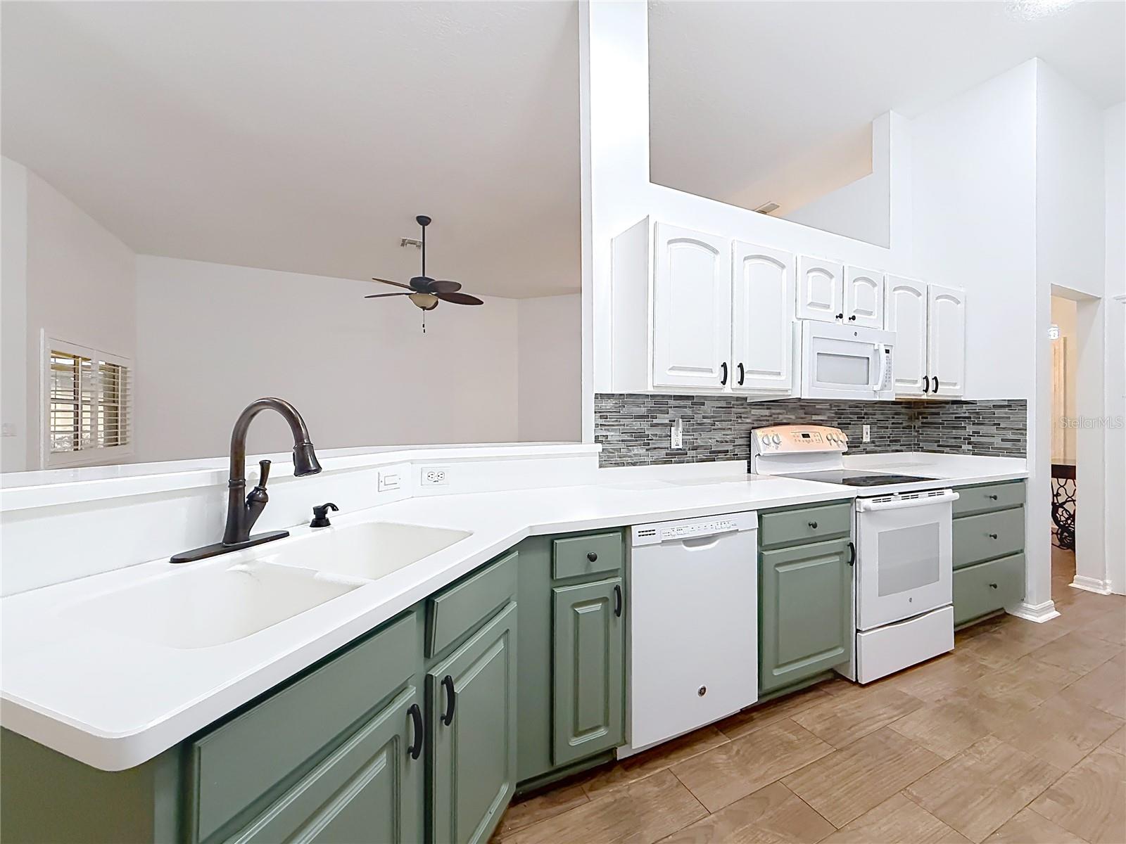 507 DOWLING CIR, LADY LAKE, FL, 32159