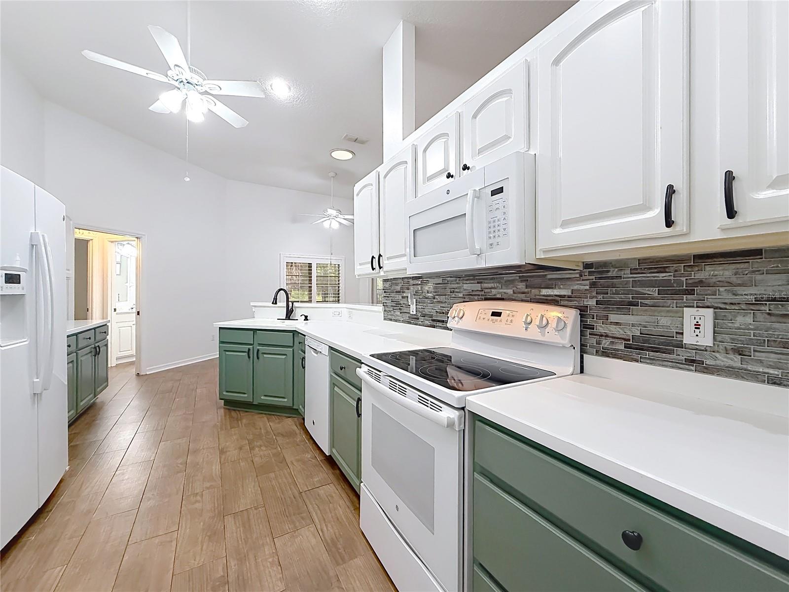 507 DOWLING CIR, LADY LAKE, FL, 32159