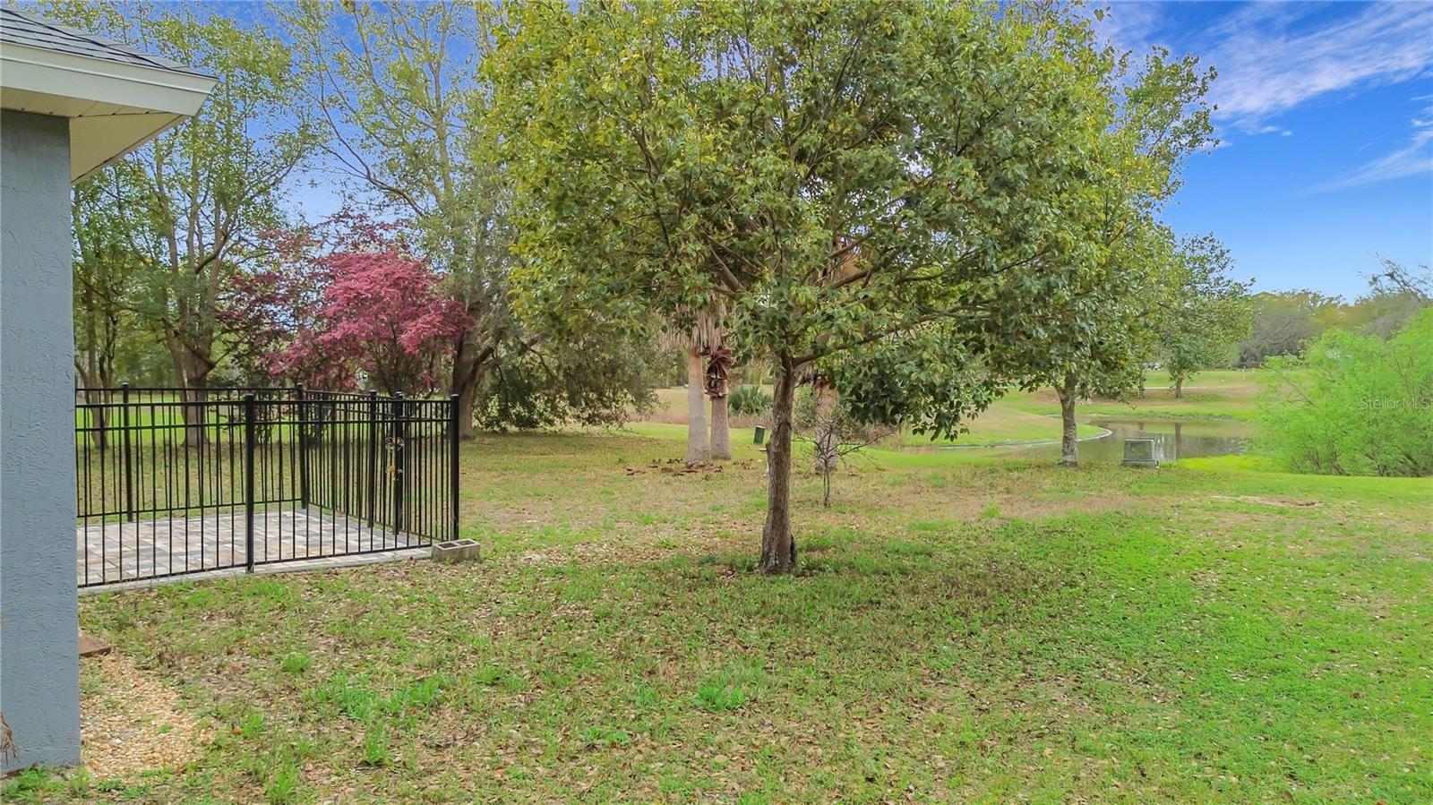 507 DOWLING CIR, LADY LAKE, FL, 32159