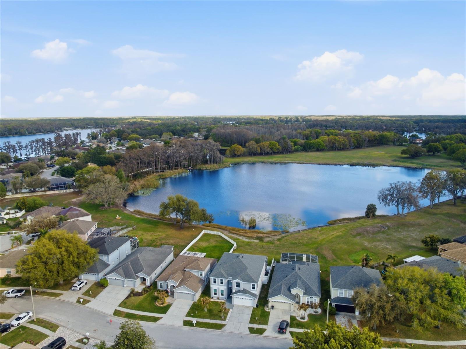 1312 BROOKE VIEW DR, ODESSA, FL, 33556