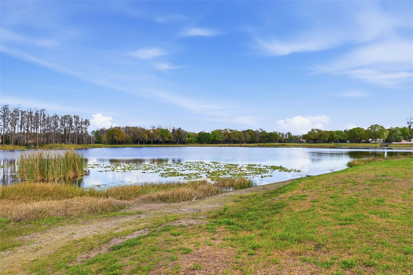 1312 BROOKE VIEW DR, ODESSA, FL, 33556