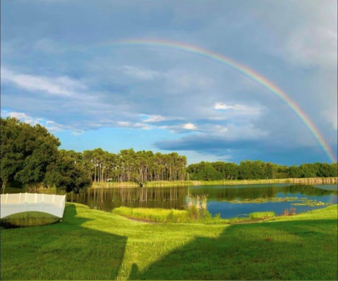 1312 BROOKE VIEW DR, ODESSA, FL, 33556