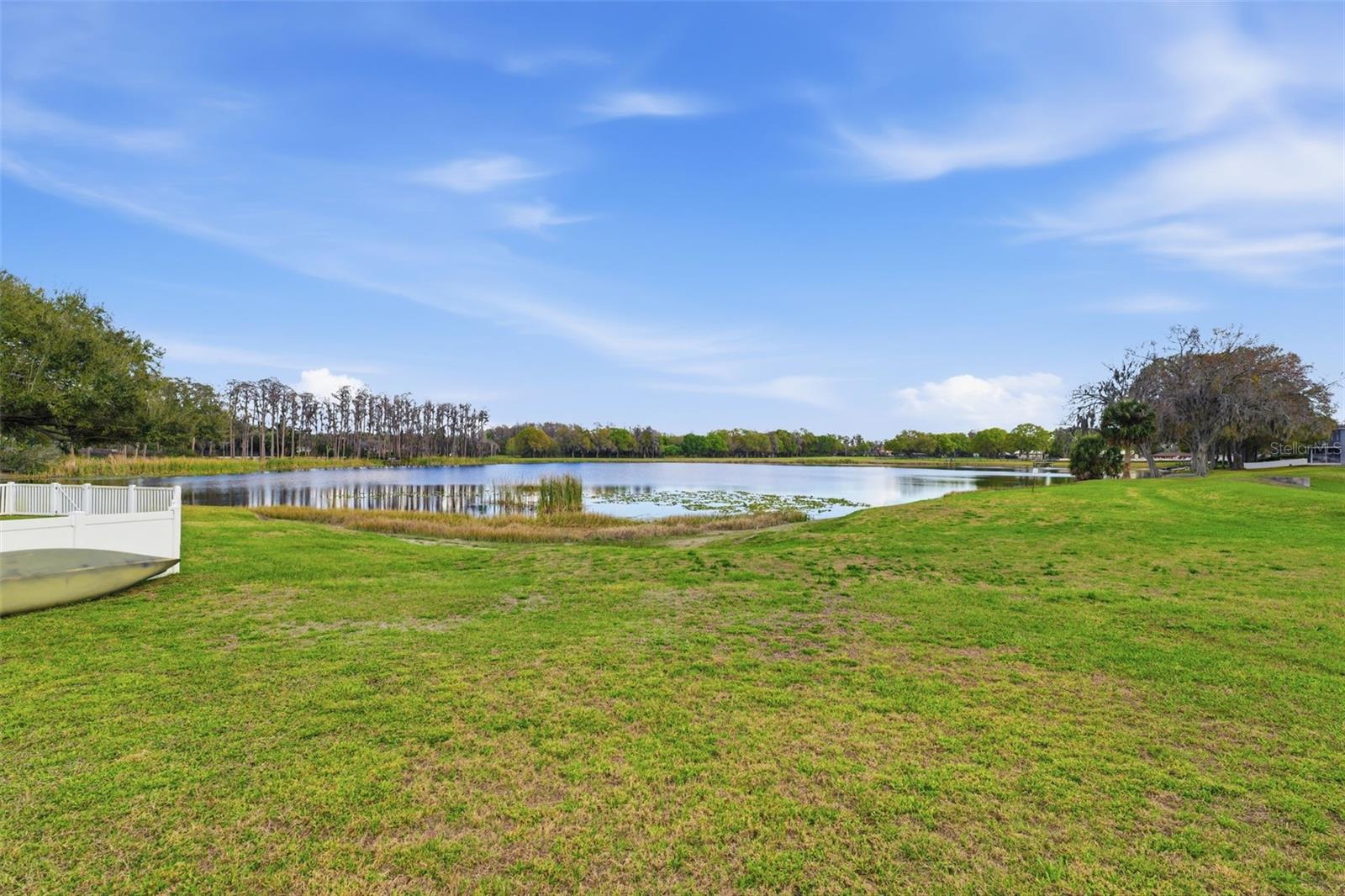 1312 BROOKE VIEW DR, ODESSA, FL, 33556