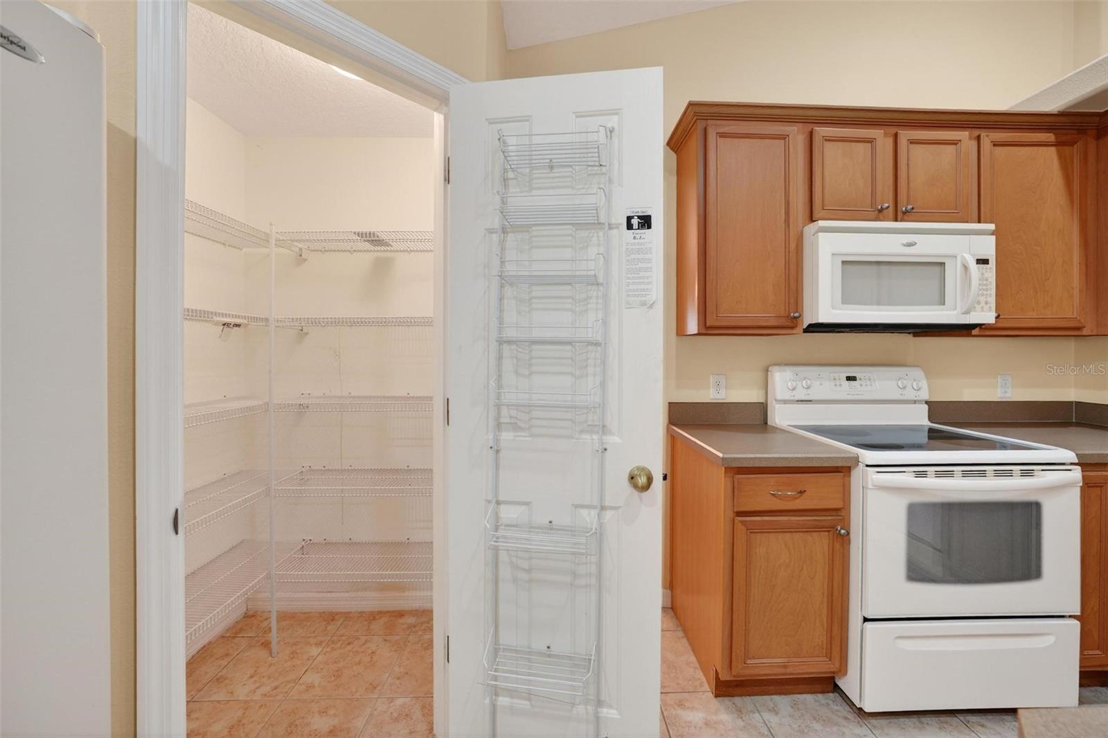 1010 VINDALE RD, TAVARES, FL, 32778