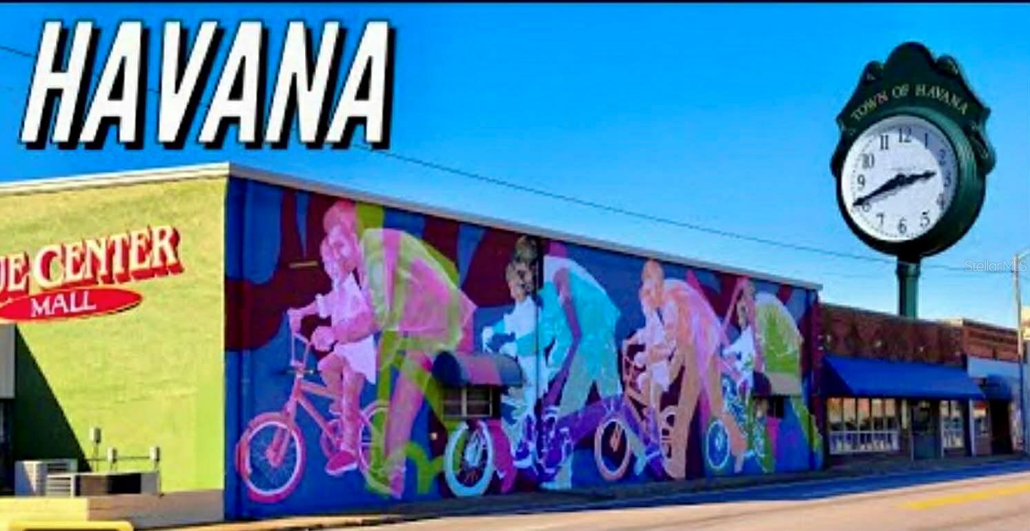 CHIPPEWA CT, HAVANA, FL, 32333