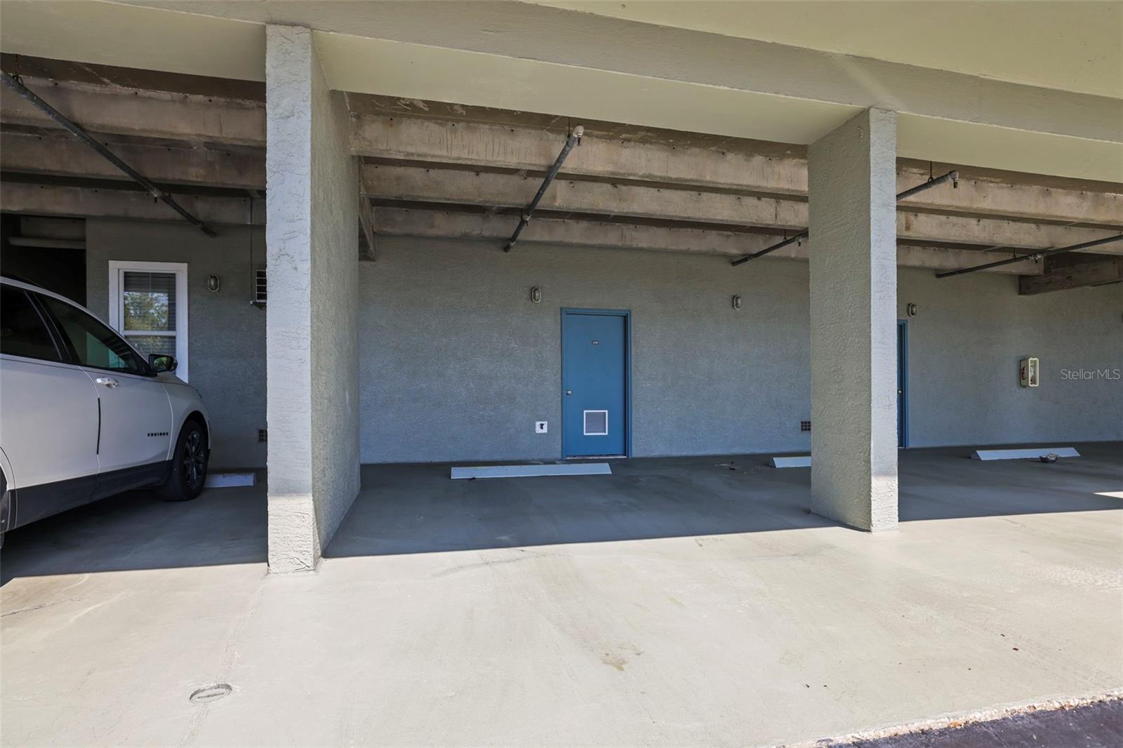 5 ISLAND PARK PL #206, DUNEDIN, FL, 34698