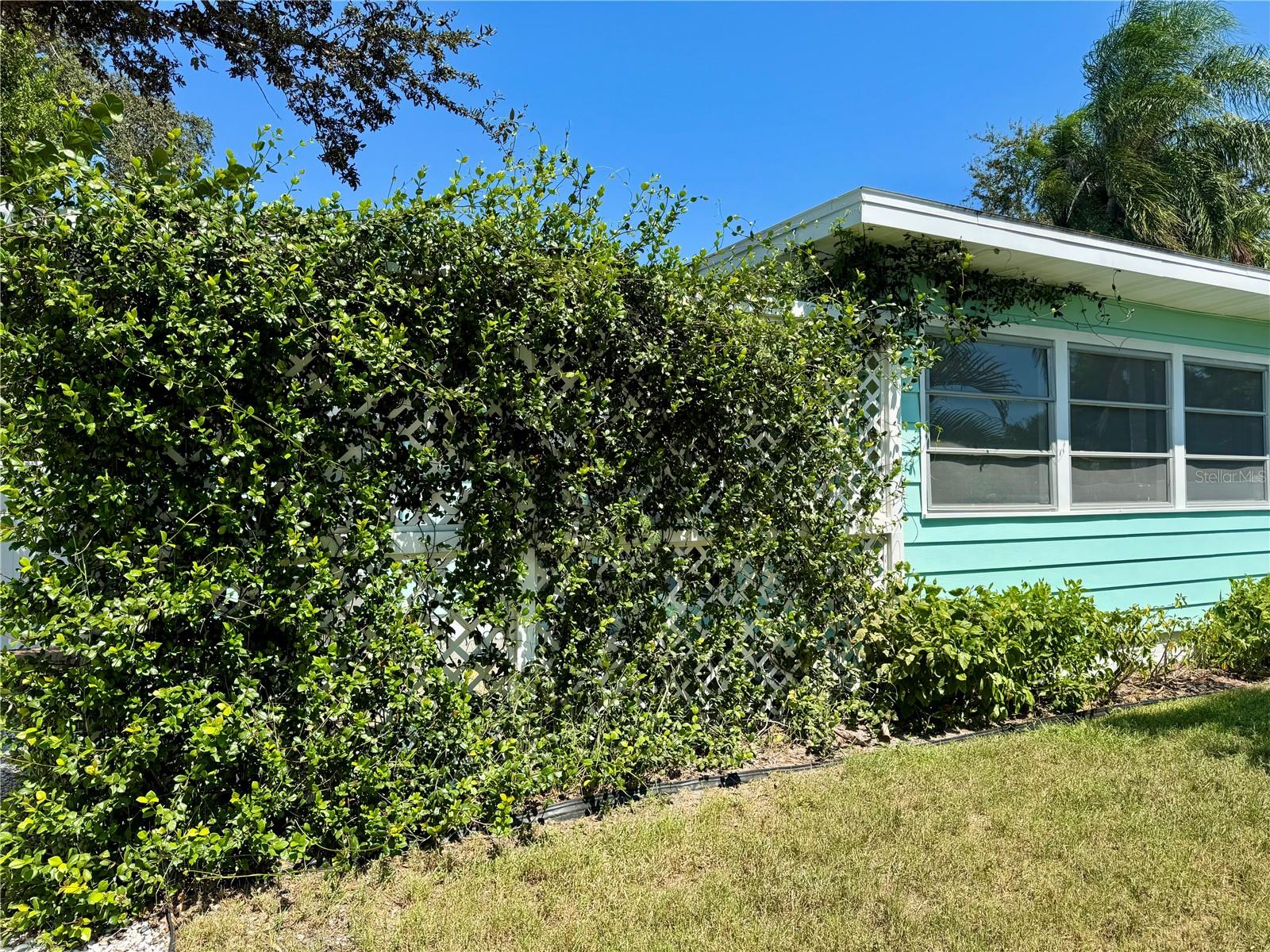 637 BELTREES ST, DUNEDIN, FL, 34698