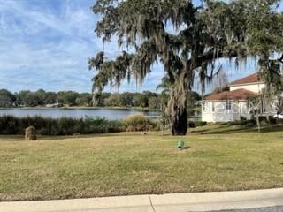 519 W BLUE WATER EDGE DR, EUSTIS, FL, 32736