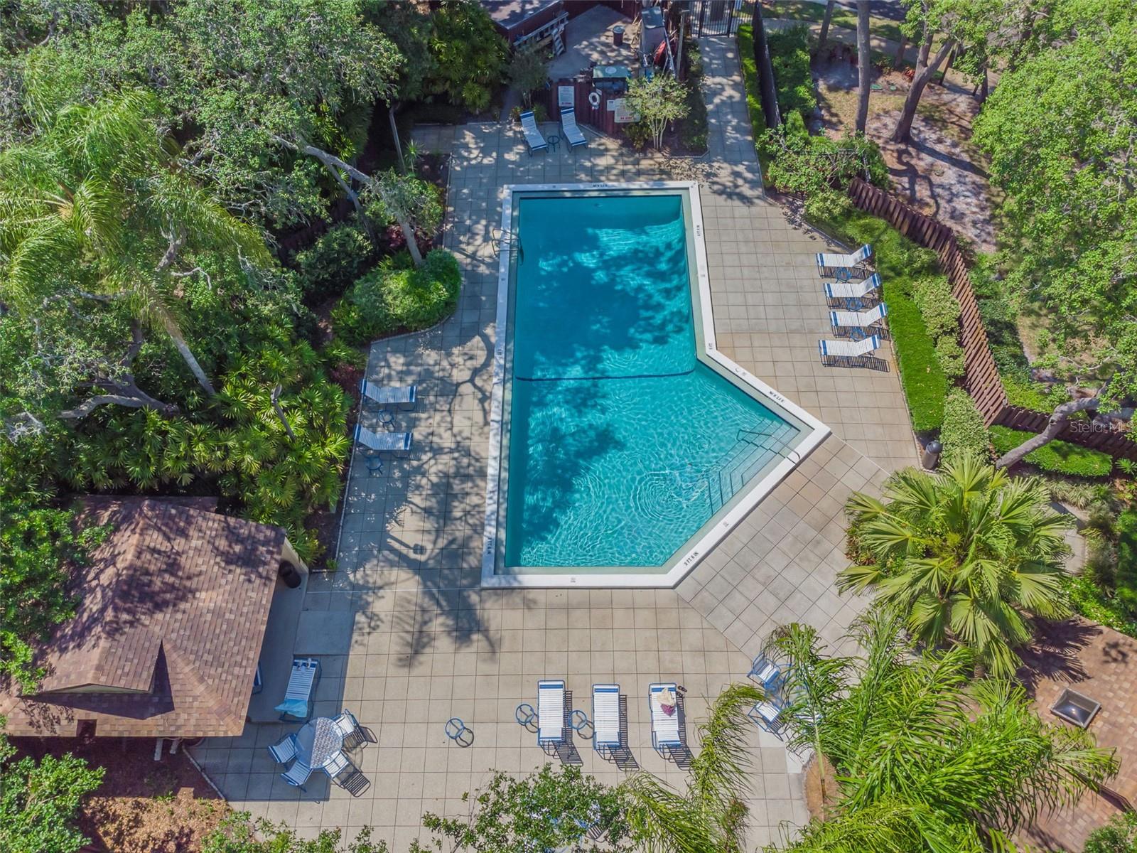 2993 ELDER CT, PALM HARBOR, FL, 34684