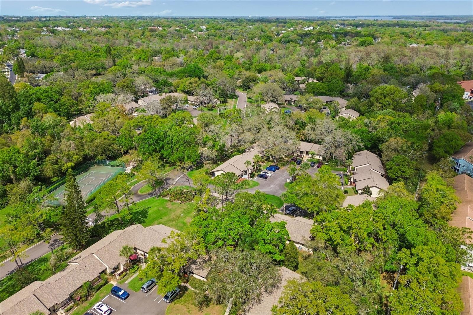 2993 ELDER CT, PALM HARBOR, FL, 34684