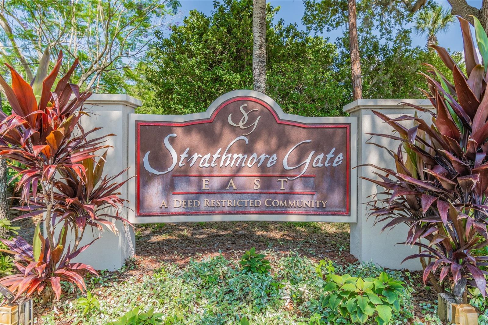 2993 ELDER CT, PALM HARBOR, FL, 34684