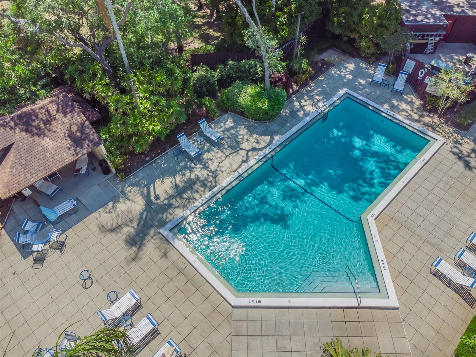 2993 ELDER CT, PALM HARBOR, FL, 34684
