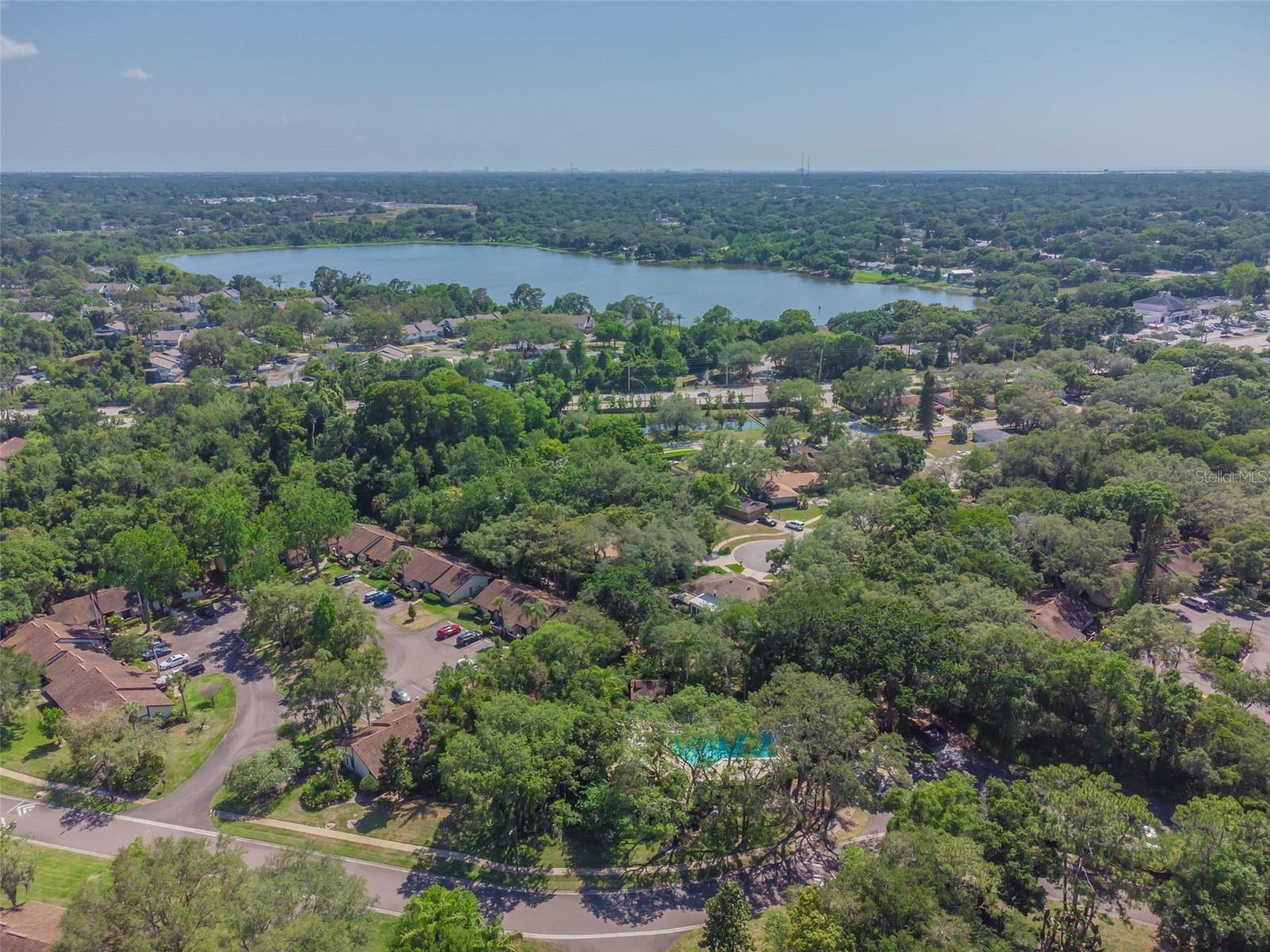 2993 ELDER CT, PALM HARBOR, FL, 34684