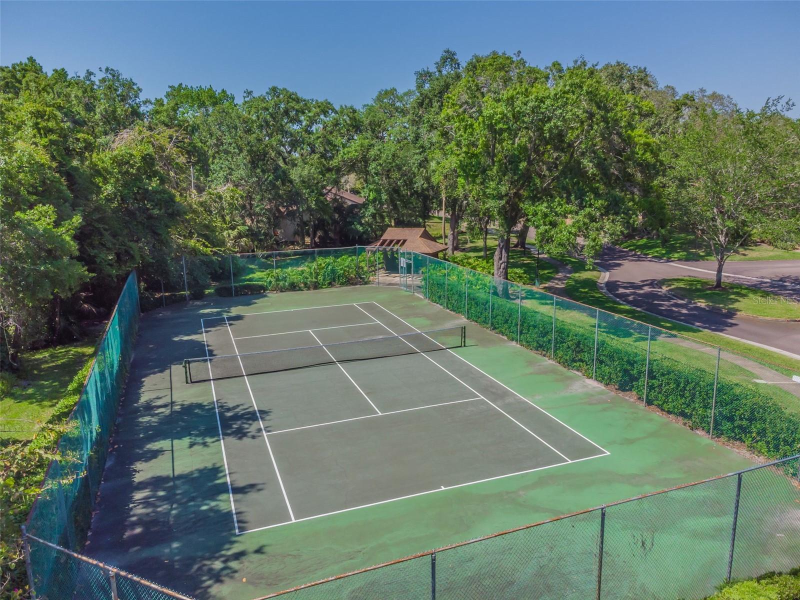 2993 ELDER CT, PALM HARBOR, FL, 34684