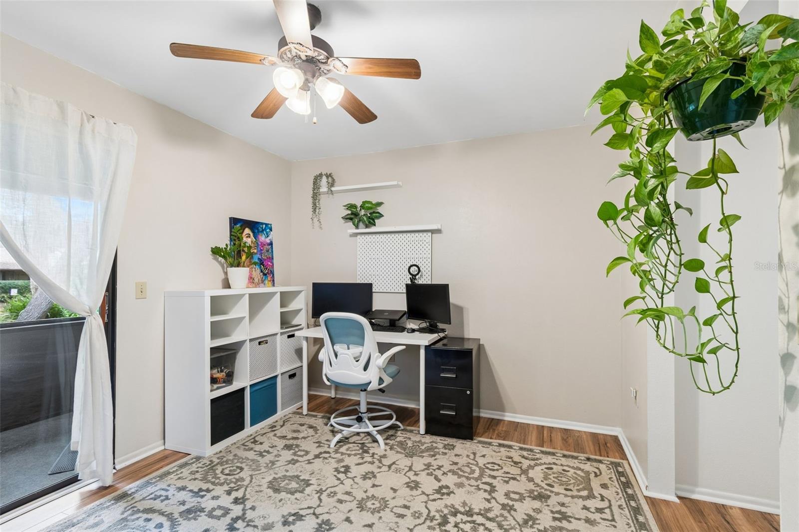 2993 ELDER CT, PALM HARBOR, FL, 34684