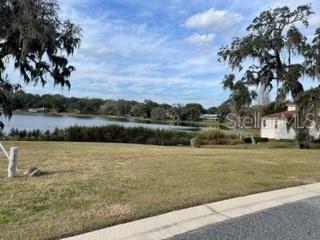 425 W BLUE WATER EDGE DR, EUSTIS, FL, 32736