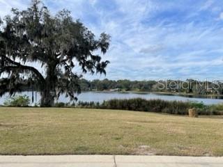 425 W BLUE WATER EDGE DR, EUSTIS, FL, 32736