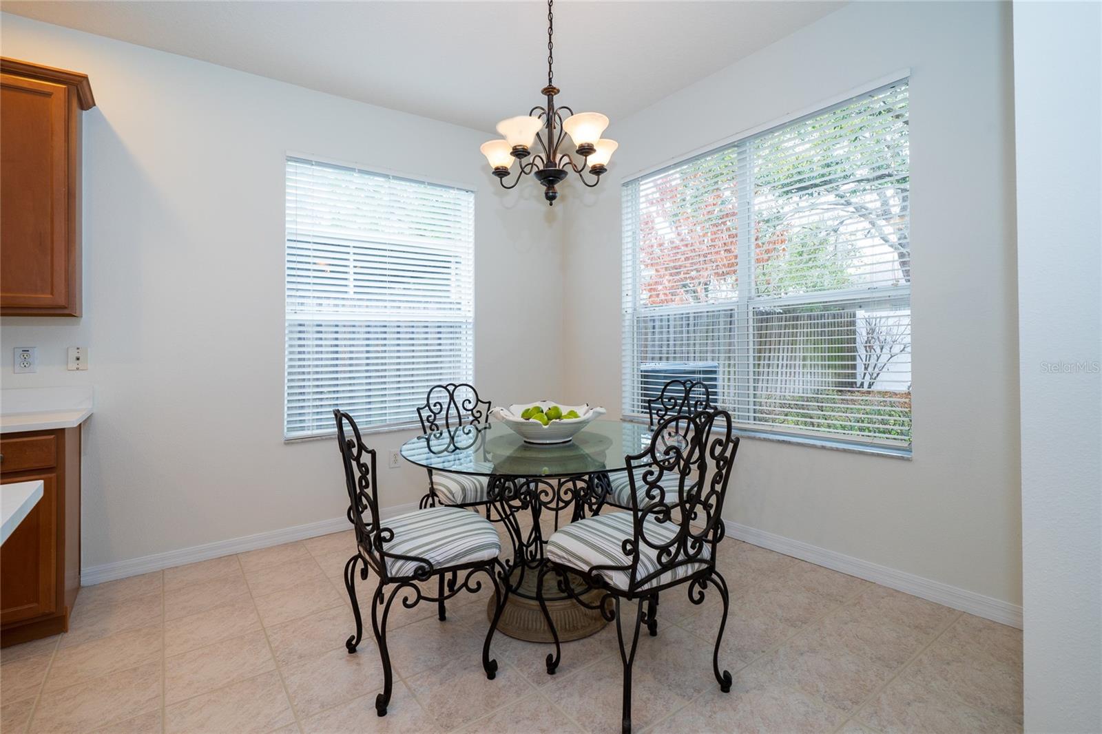 8210 CANARY CANYON WAY, TAMPA, FL, 33647