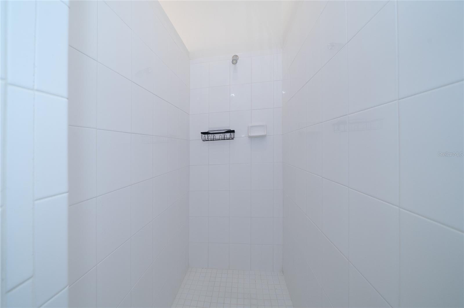 8210 CANARY CANYON WAY, TAMPA, FL, 33647