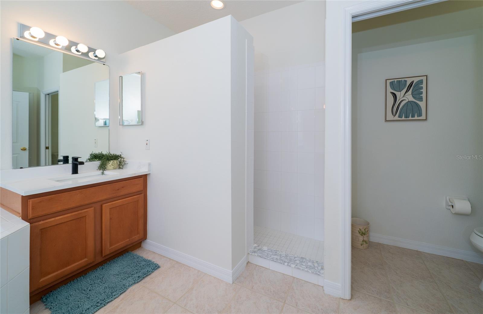 8210 CANARY CANYON WAY, TAMPA, FL, 33647