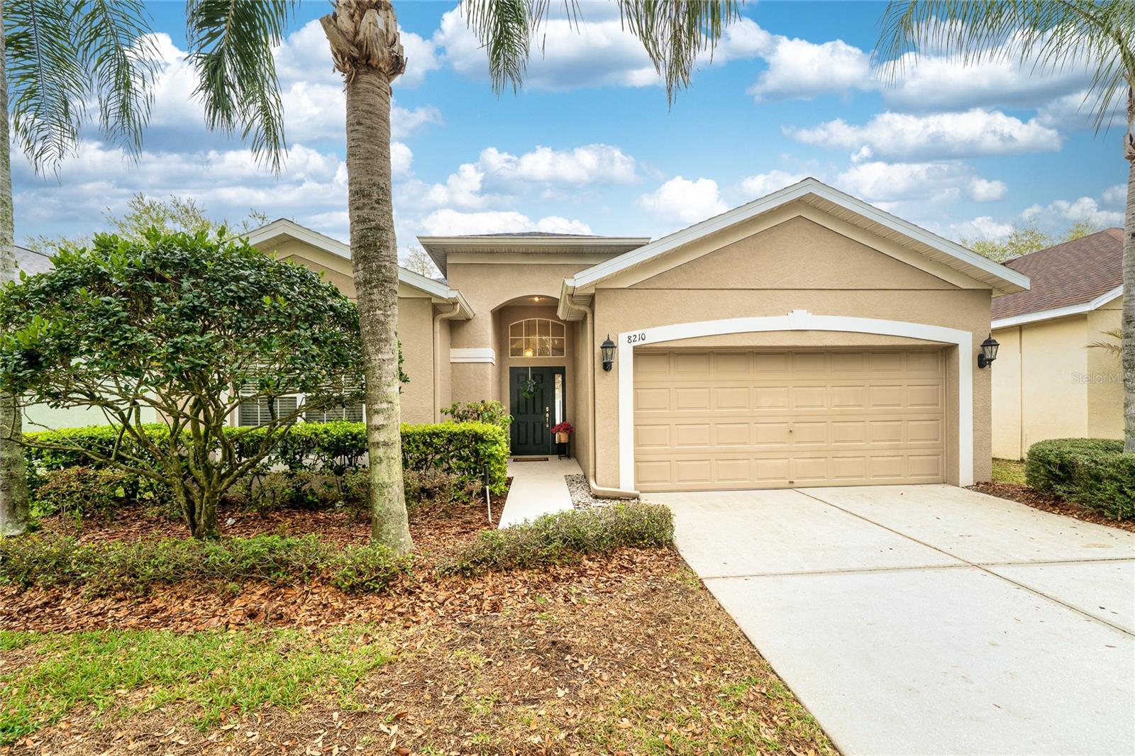 8210 CANARY CANYON WAY, TAMPA, FL, 33647