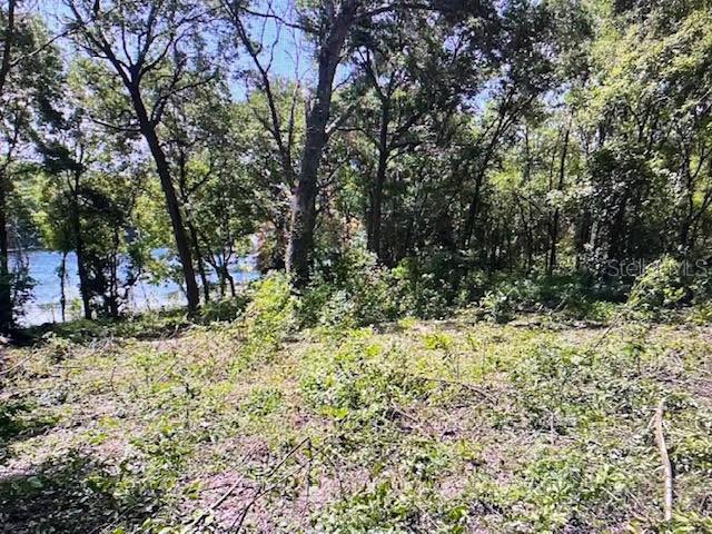 2&3 SPRING LAKE RD, FRUITLAND PARK, FL, 34731