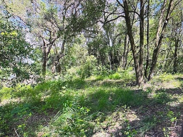 2&3 SPRING LAKE RD, FRUITLAND PARK, FL, 34731