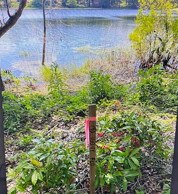 2&3 SPRING LAKE RD, FRUITLAND PARK, FL, 34731