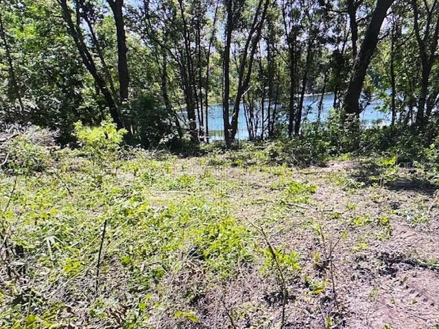 2&3 SPRING LAKE RD, FRUITLAND PARK, FL, 34731