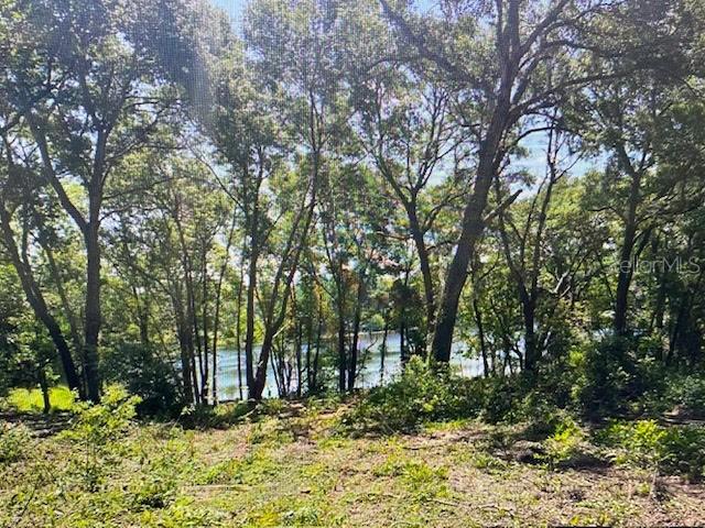 2&3 SPRING LAKE RD, FRUITLAND PARK, FL, 34731