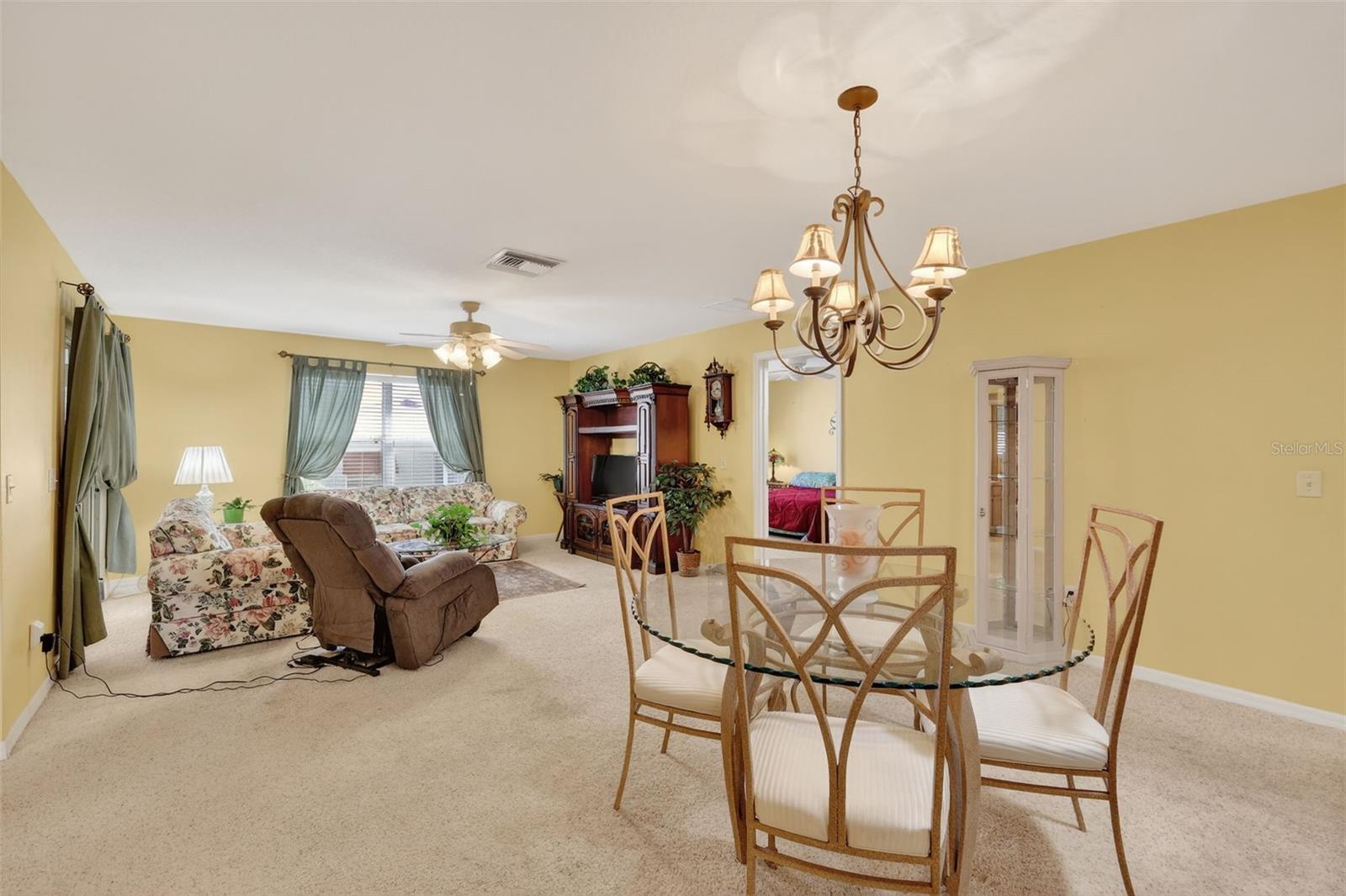 17369 SE 75TH COACHMAN CT, THE VILLAGES, FL, 32162