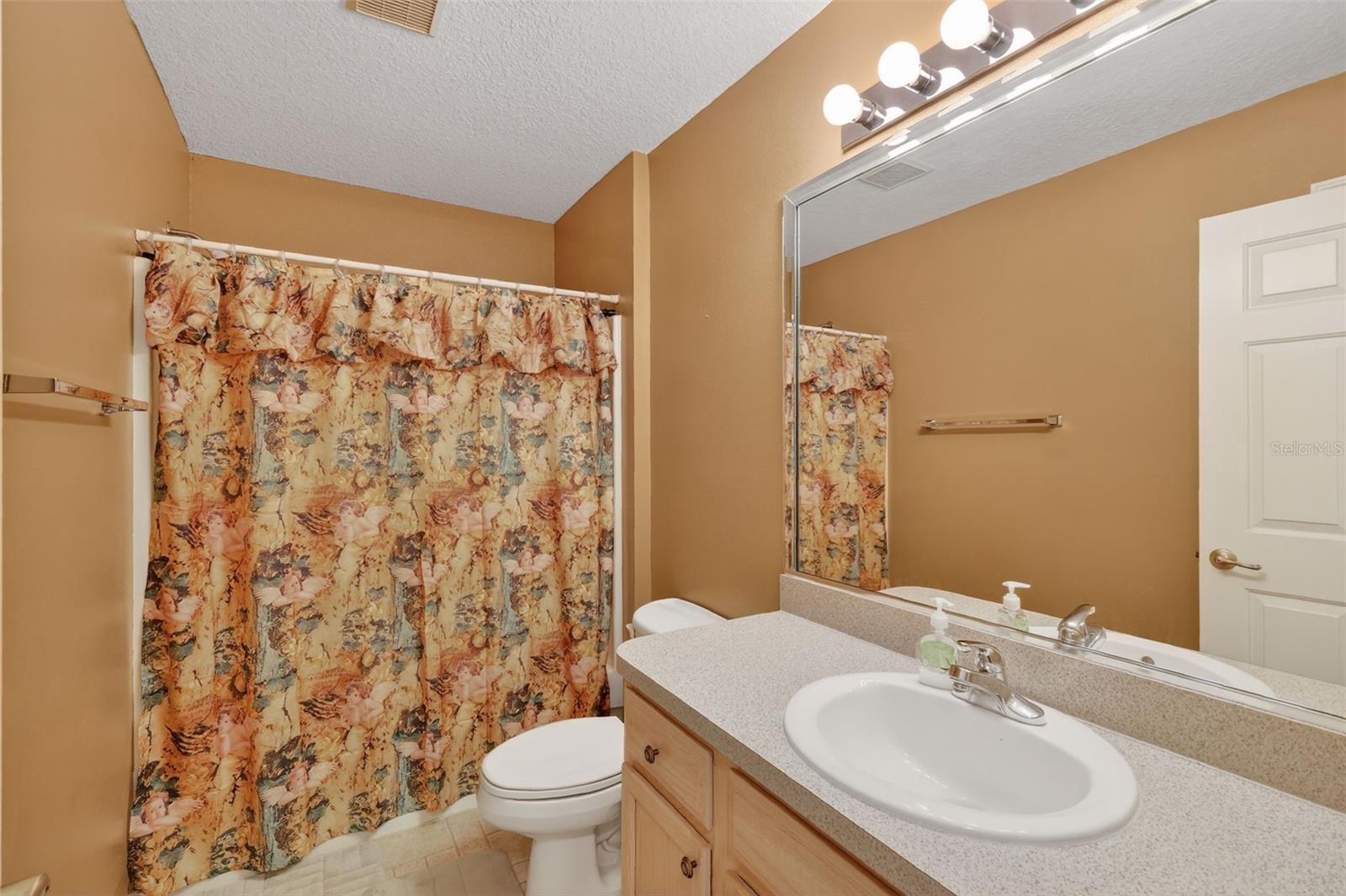 17369 SE 75TH COACHMAN CT, THE VILLAGES, FL, 32162