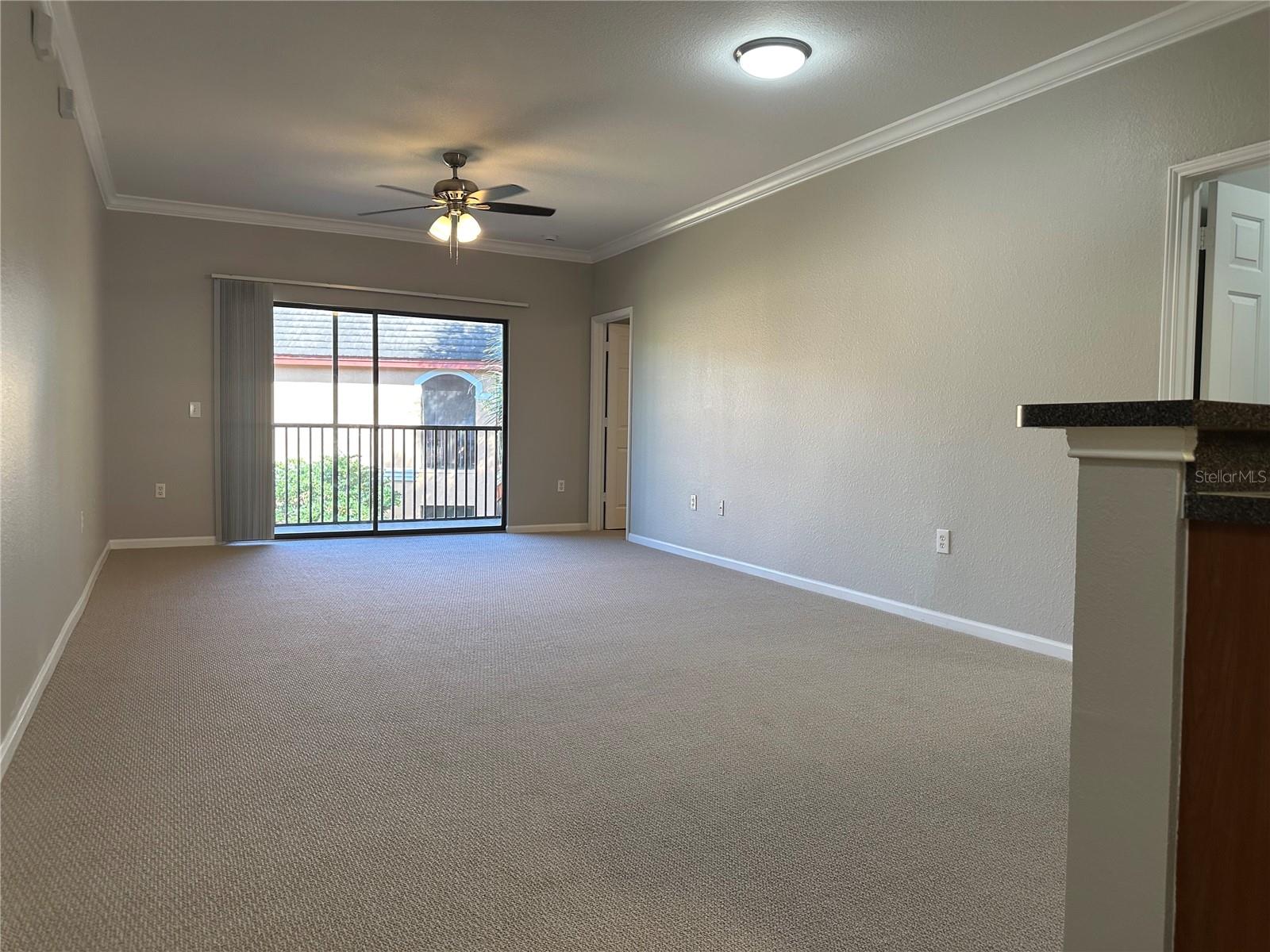 2151 CHIANTI PL #12-0125, PALM HARBOR, FL, 34683