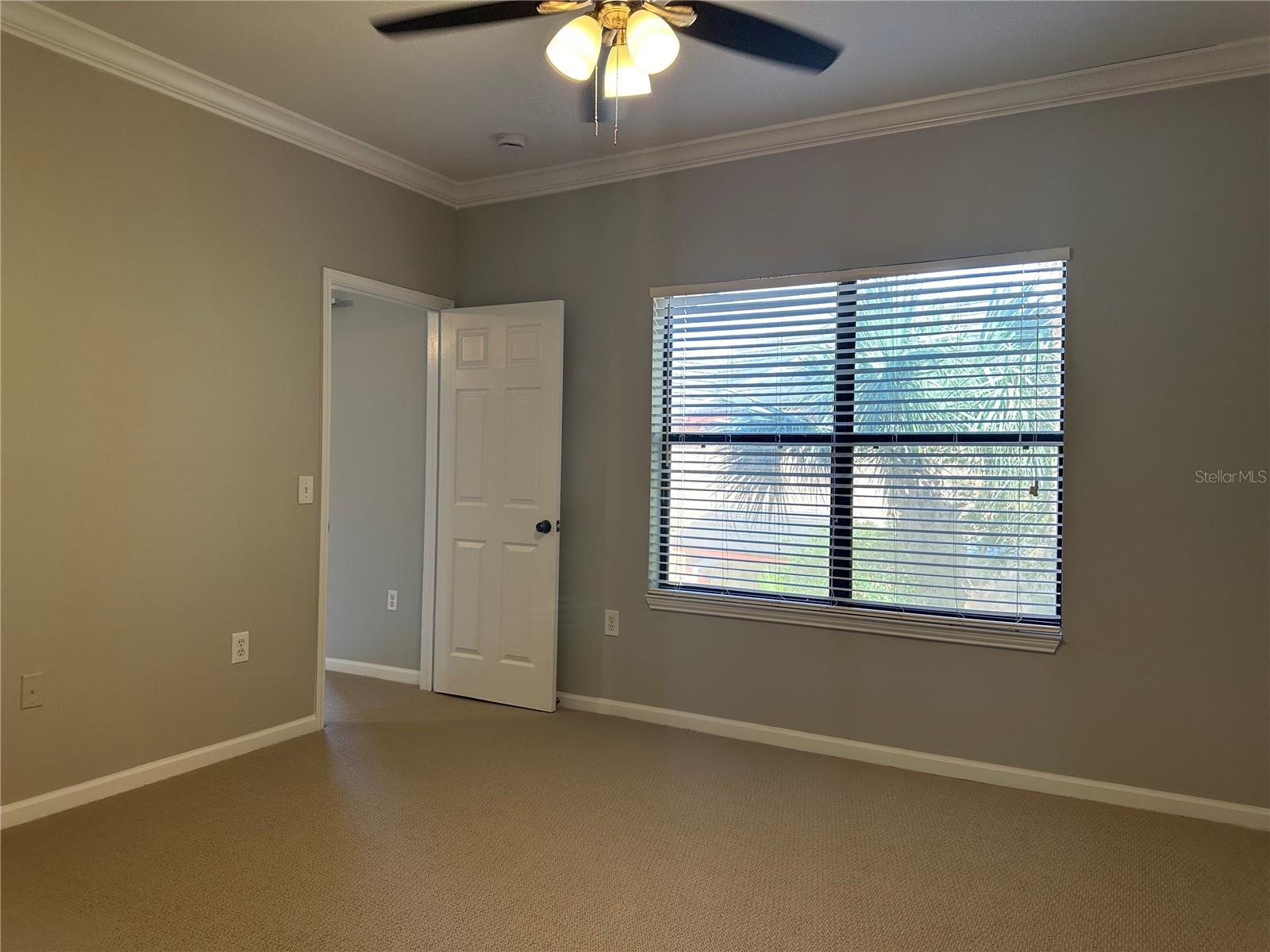 2151 CHIANTI PL #12-0125, PALM HARBOR, FL, 34683