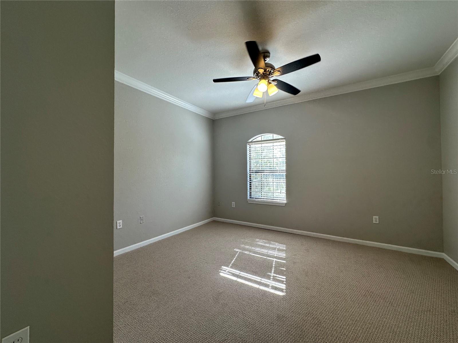2151 CHIANTI PL #12-0125, PALM HARBOR, FL, 34683