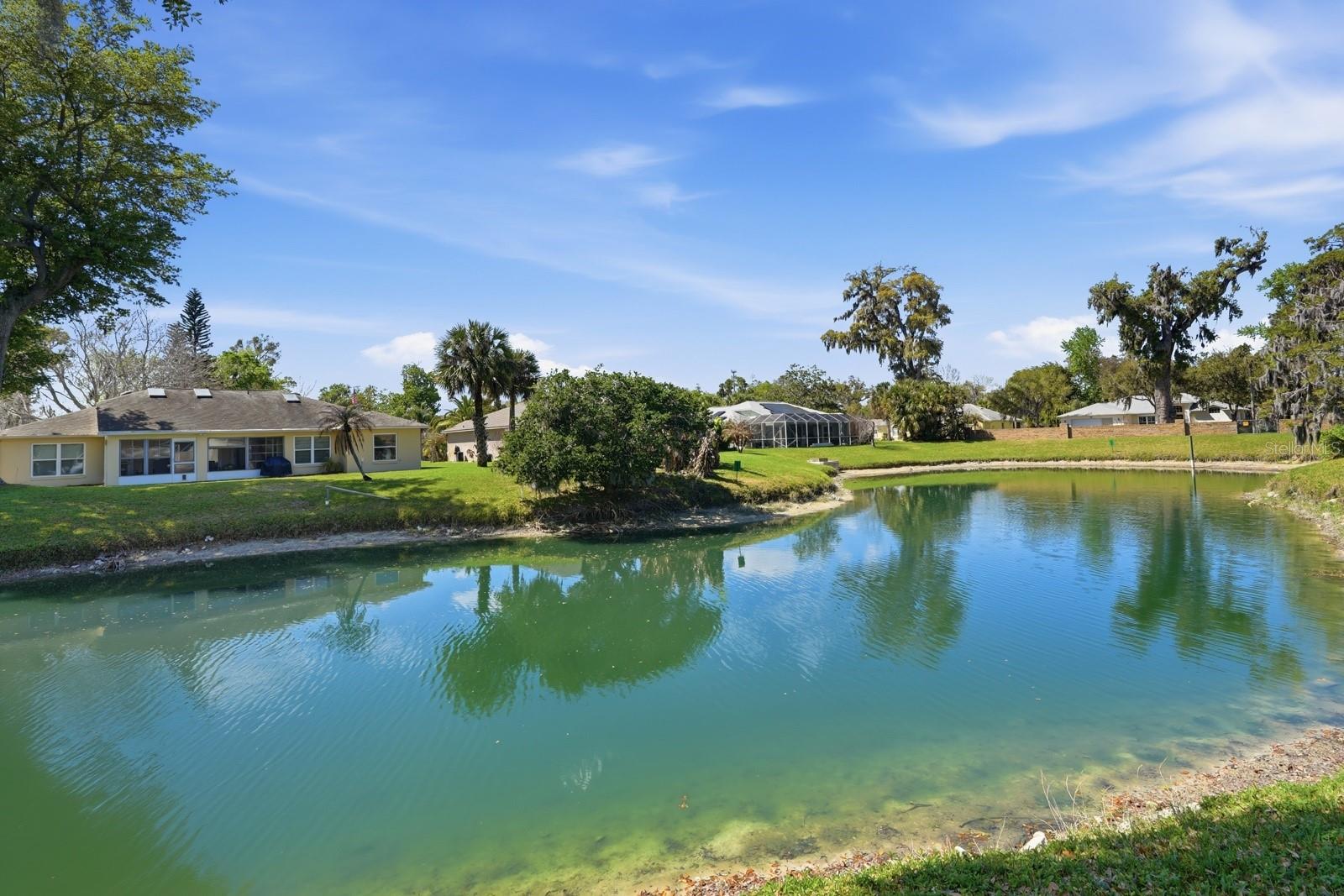 23 OLD SUNBEAM DR, SOUTH DAYTONA, FL, 32119