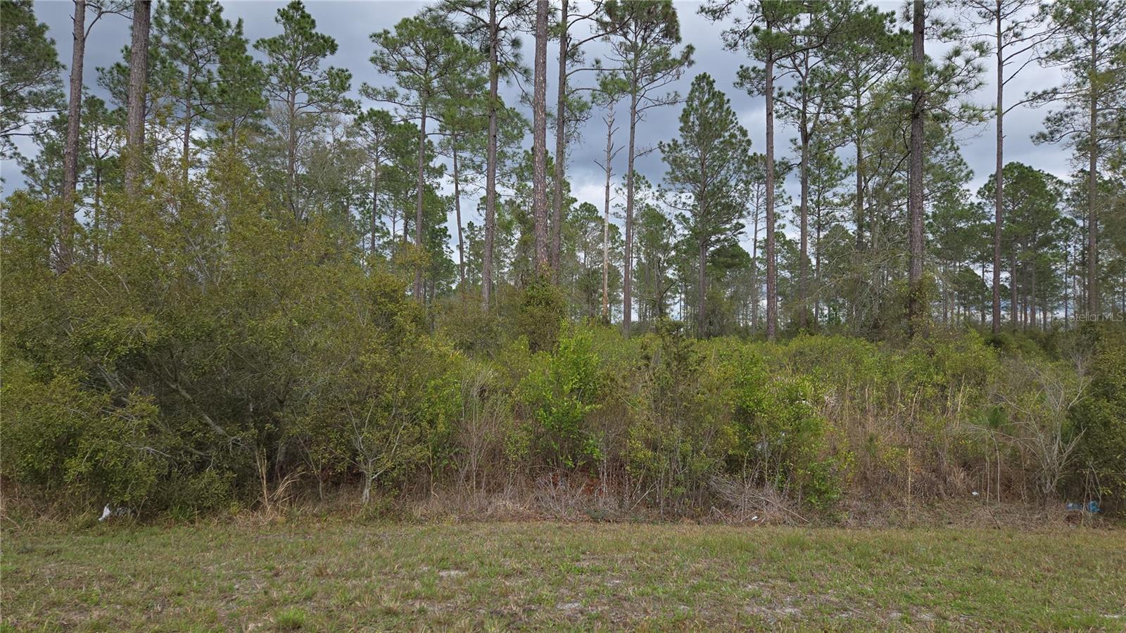 Lot 10 NW NATALIE WAY, LAKE CITY, FL, 32055