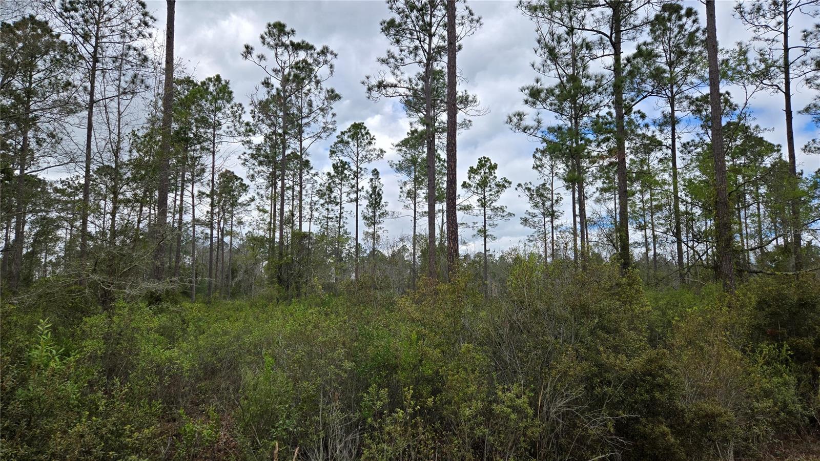Lot 10 NW NATALIE WAY, LAKE CITY, FL, 32055