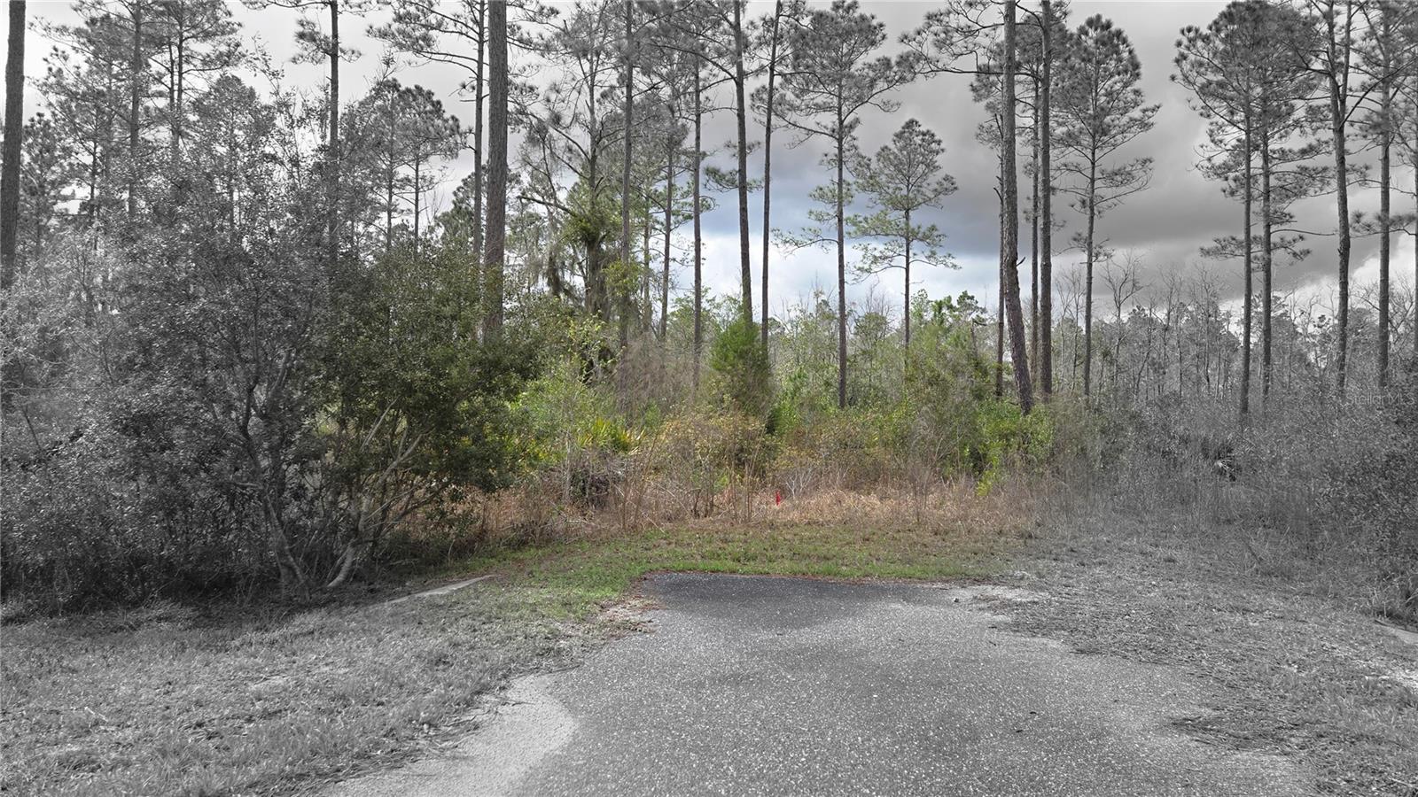 Lot 10 NW NATALIE WAY, LAKE CITY, FL, 32055