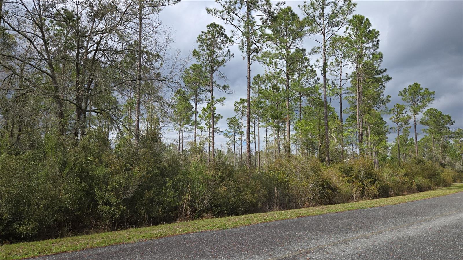 Lot 10 NW NATALIE WAY, LAKE CITY, FL, 32055