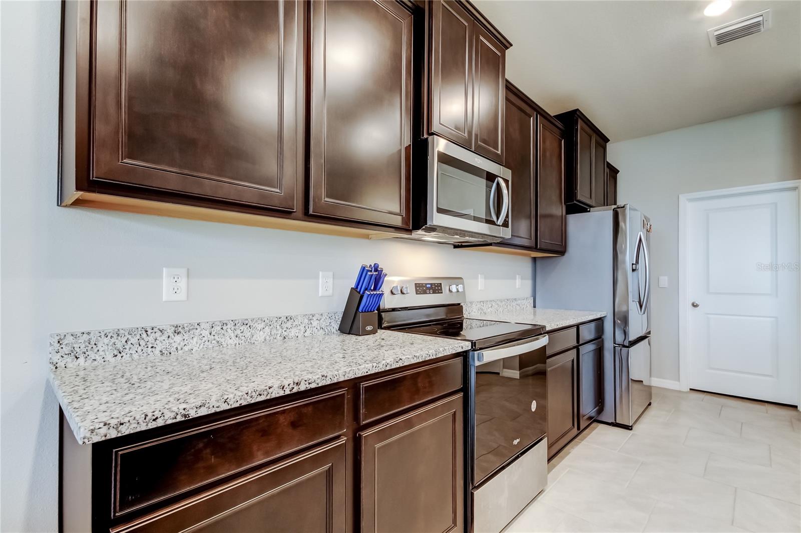 33888 FIELD MAPLE LOOP, WESLEY CHAPEL, FL, 33545