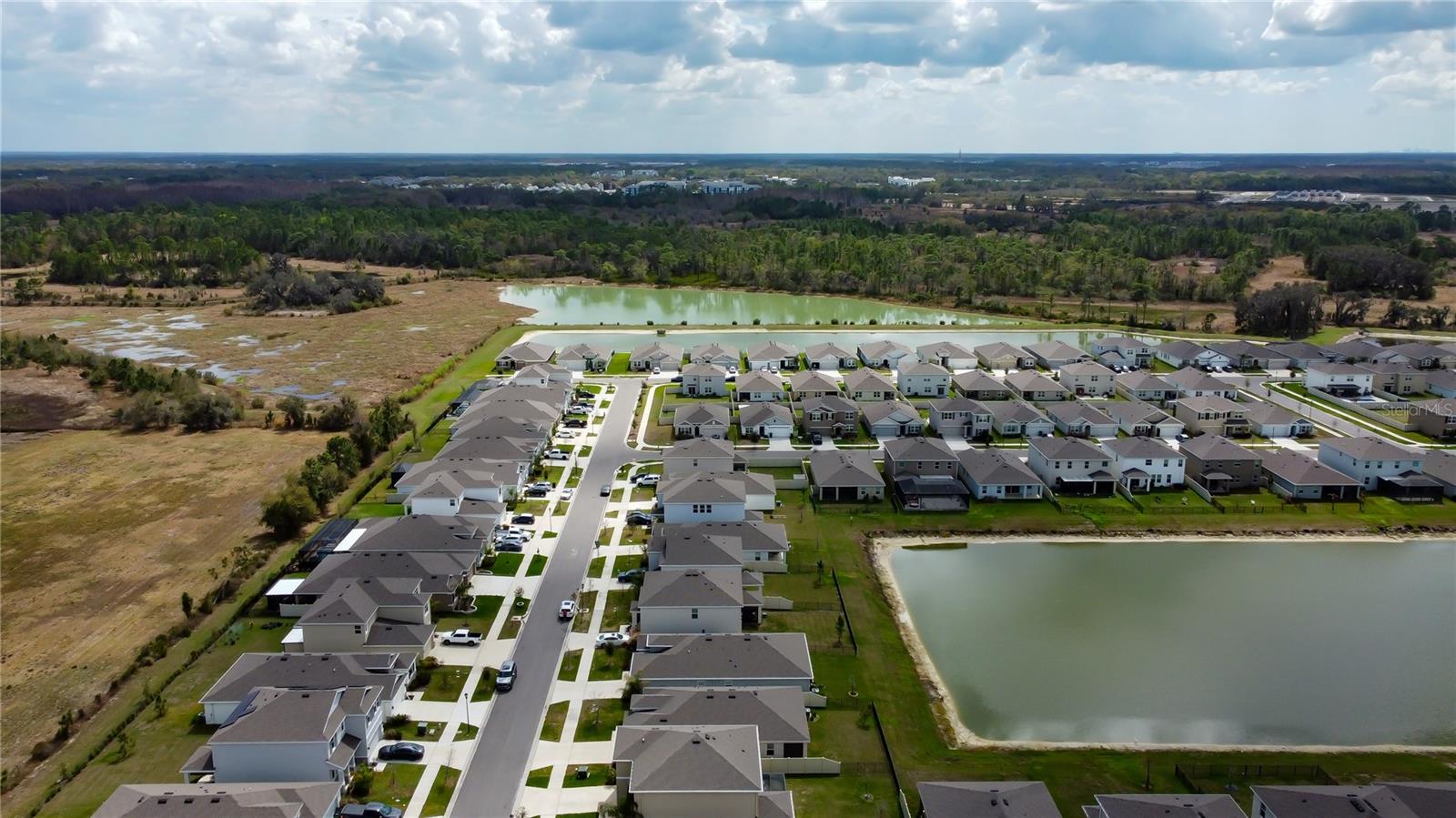 33888 FIELD MAPLE LOOP, WESLEY CHAPEL, FL, 33545