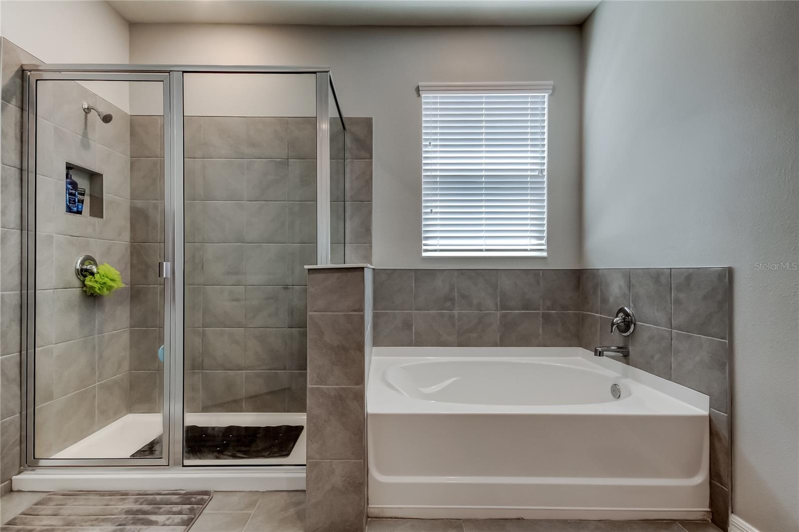 33888 FIELD MAPLE LOOP, WESLEY CHAPEL, FL, 33545