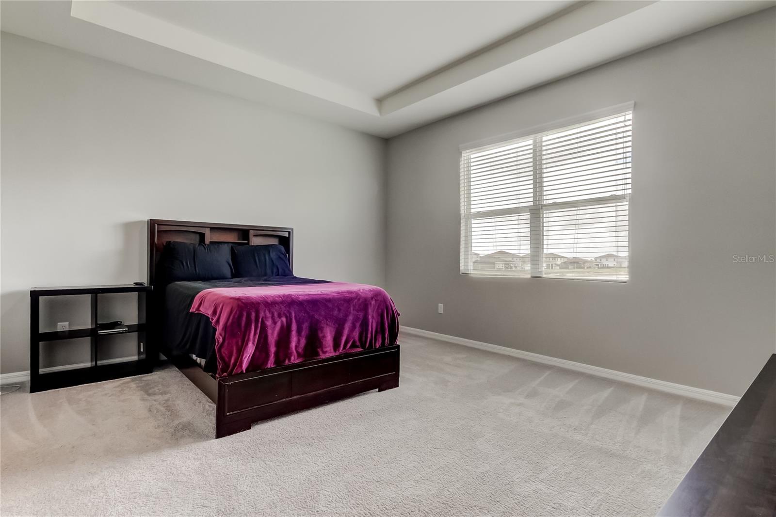 33888 FIELD MAPLE LOOP, WESLEY CHAPEL, FL, 33545