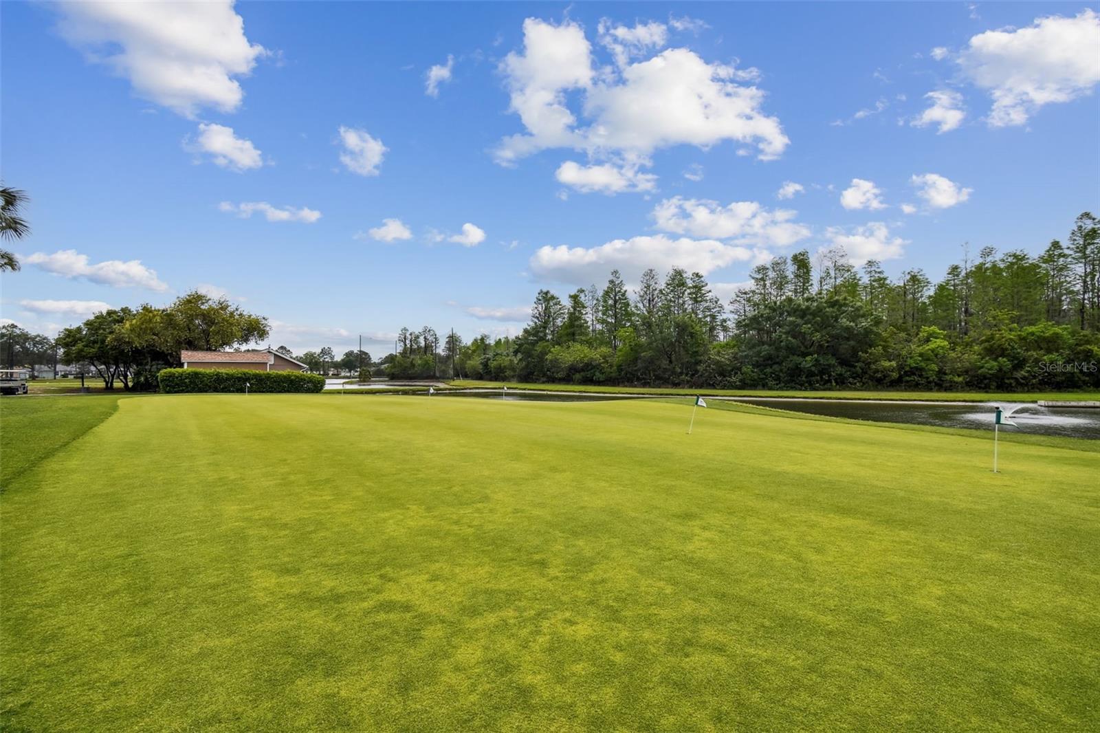 20930 JAFFA LN, LAND O LAKES, FL, 34637