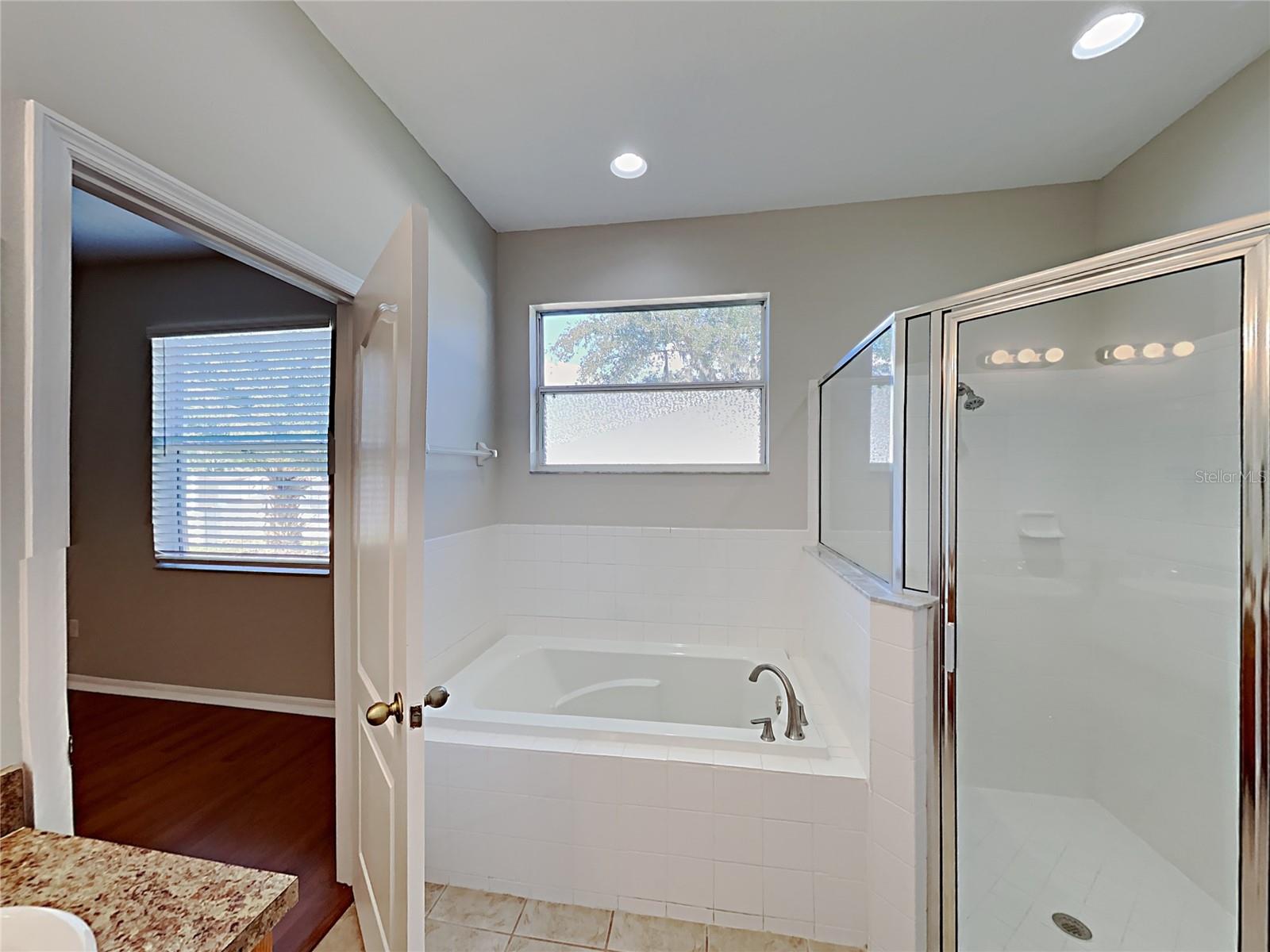 4020 LANGDRUM DR, WESLEY CHAPEL, FL, 33543