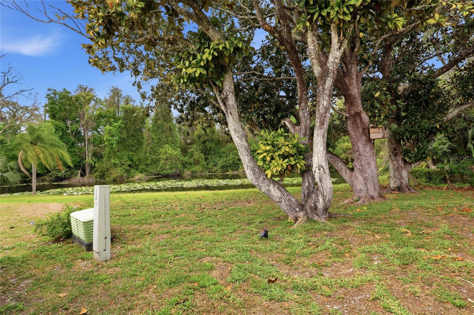 7209 MAGNOLIA VALLEY DR, NEW PORT RICHEY, FL, 34653